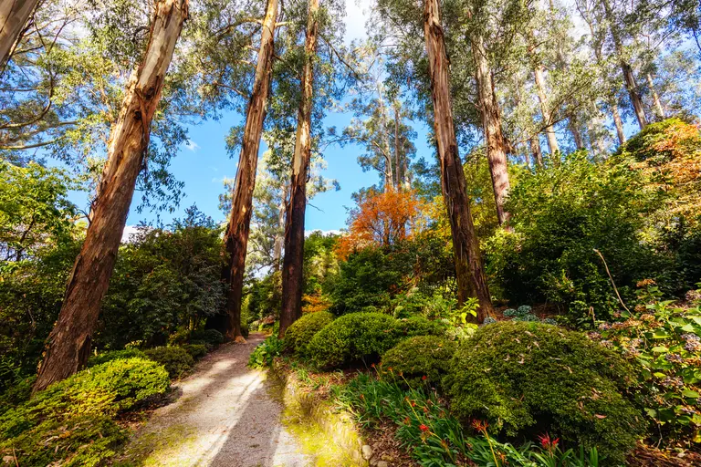 Sunlit gardens in Victoria