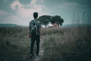 A lone traveller walking a quiet road between open green fields.