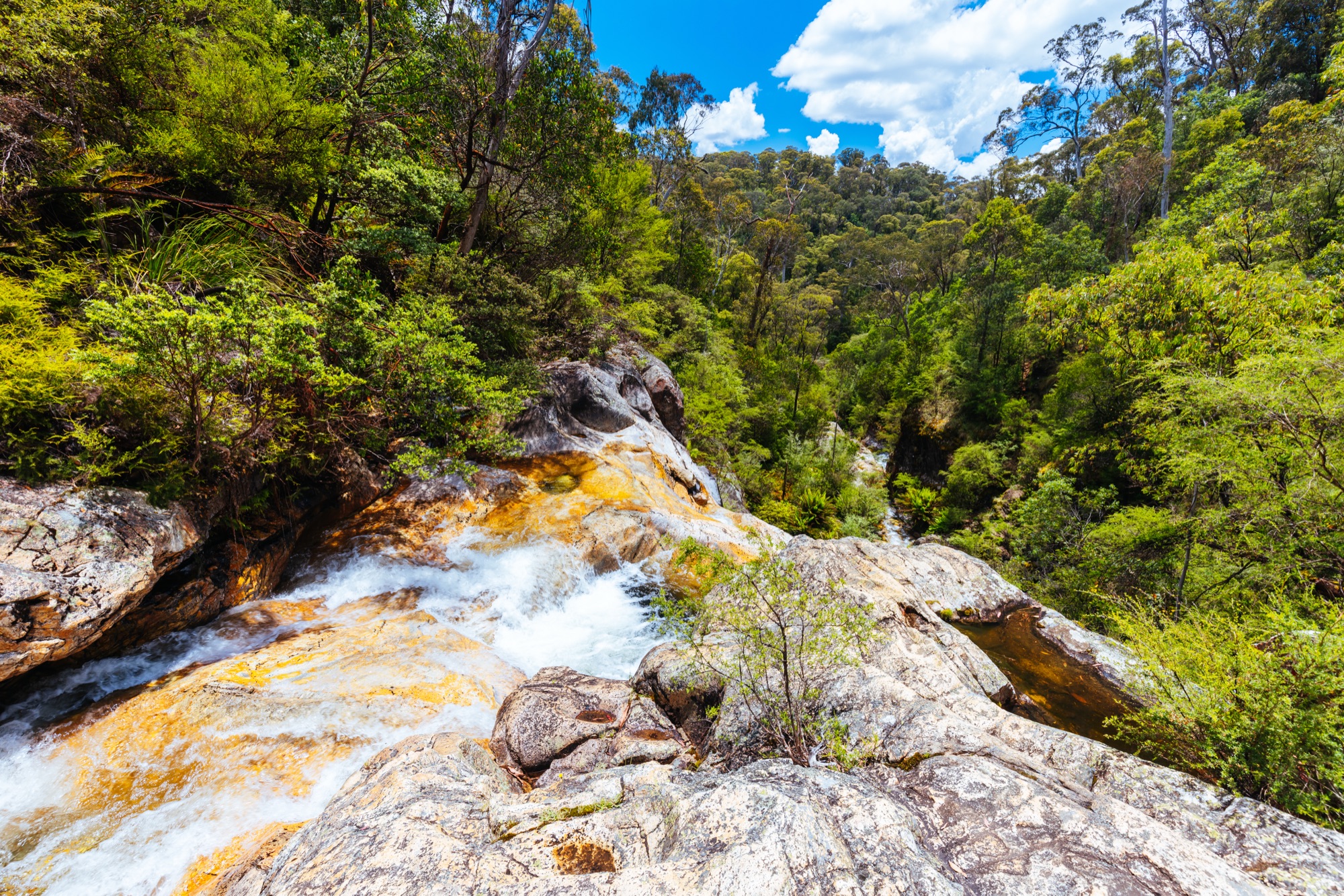 Rollasons Falls on the summer slopes of Mt Buffalo, Victoria