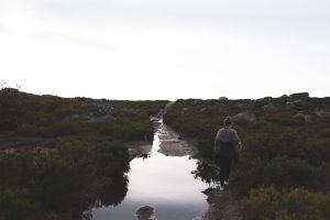 Two people walking together through open grass beside water.